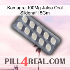 Kamagra 100Mg Oral Jelly Sildenafil 5Gm 08